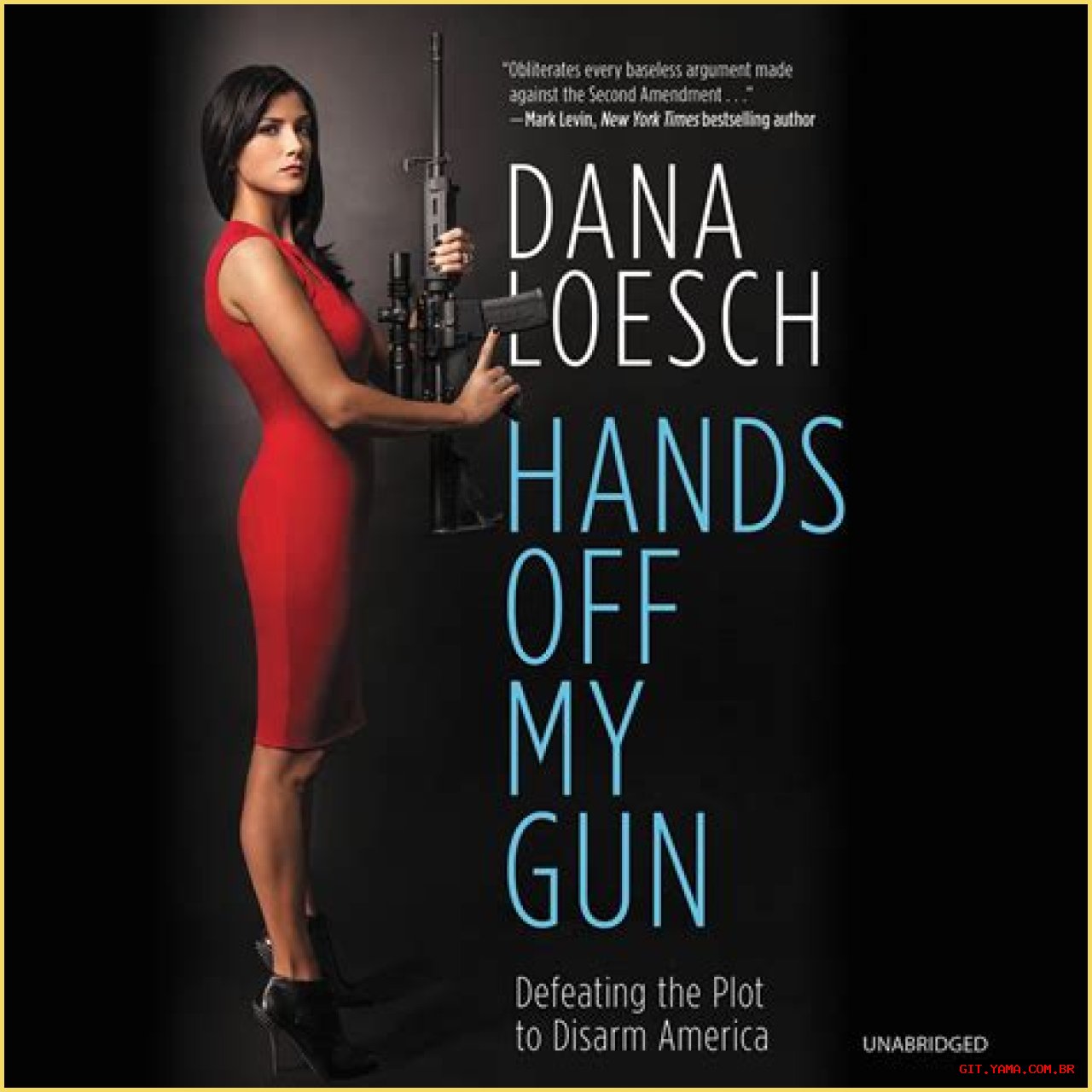 Dana Loesch On Politics And Gun Rights