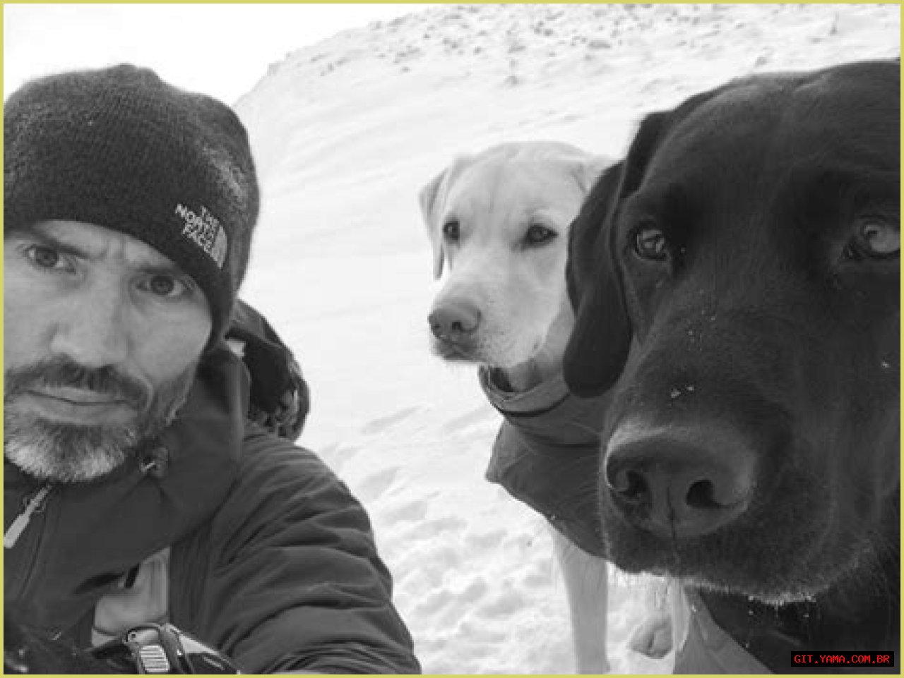 Understanding Andrew Cotter's Illness: A Journey Through Challenges